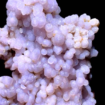 Chalcedon